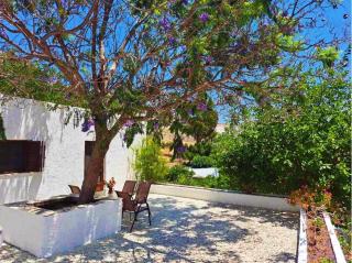 Blue Acacia in Alinda Leros - Alinda - 9
