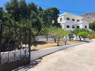 Blue Acacia in Alinda Leros - Alinda - 1