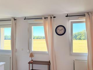 Le Nid Douillet - Parking Included - Haguenau - Haguenau - 2