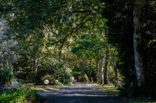 Parc de L'Aiguade - Saint-Paul-lès-Dax - 6