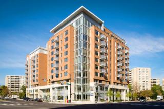 The Perfect Blend of Style and Comfort - Arlington - 9