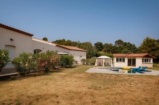 Le Pin d'Alep - Bormes-les-Mimosas - 8