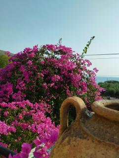 Villa Voukamvilia 3 minutes walk from Beach - Neon Oitilon - 9