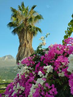 Villa Voukamvilia 3 minutes walk from Beach - Neon Oitilon - 8