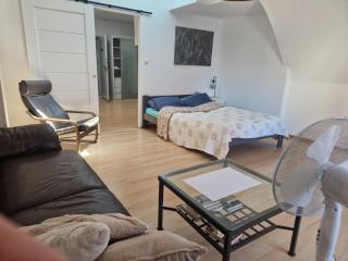 Apartament Wodzisław Śląski Blisko granicy - 5