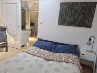 Apartament Wodzisław Śląski Blisko granicy - 6