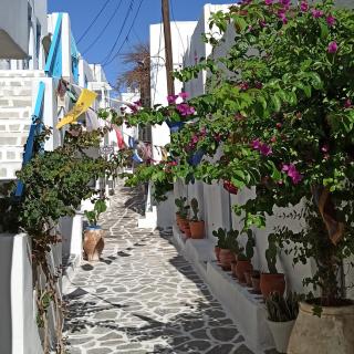 Stella's Alley House - Naoussa - 2