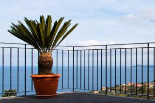 Elegantes Haus In Santana Mit Garten Und Grill - Faial - 3