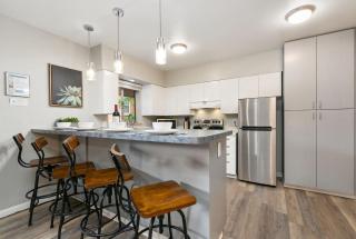 Gorgeous Condo in the Heart of Old Town - Fort Collins - 7