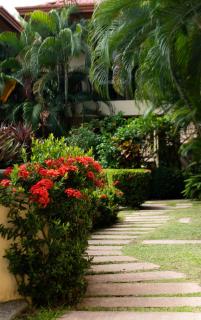 Tranquil 2BR 2BA Corteza Condo Gated Private Patio Pools Jacuzzi and BBQ Just 2 km from Beach and Downtown Jaco - 5