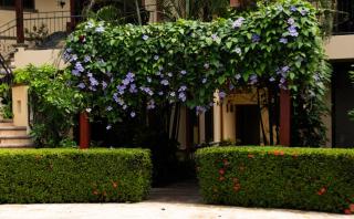 Tranquil 2BR 2BA Corteza Condo Gated Private Patio Pools Jacuzzi and BBQ Just 2 km from Beach and Downtown Jaco - Jacó - 4