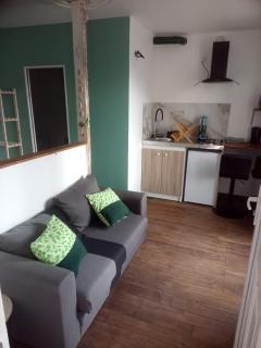 Studio thème Dublin à Valdivienne - - 0