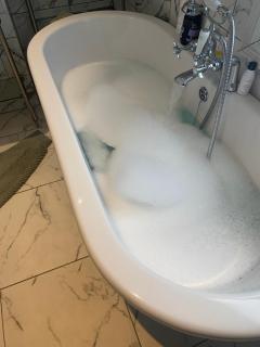 Spacious and Elegant flat in Greater London - Beckenham - 4