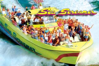 Luxe Gulf Front View with Free Beach Chairs, Balcony, & Resort Amenities - 7