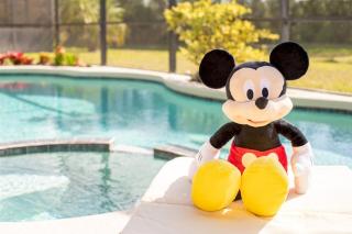 Resort villa south facing with private pool - 2