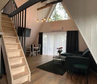 Pine house with sauna and hot tub - Skulte - 4