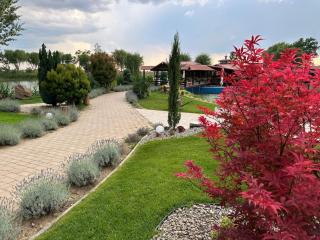 Ancora - Salonta - 2