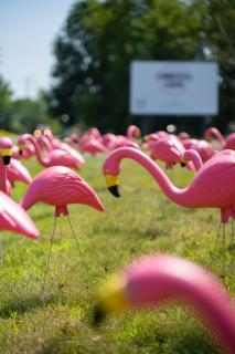 Lumber Jill Lodge 17 King Bed Retreat - 4