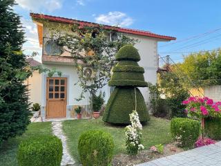 Green House - Polisi i Vogël - 1