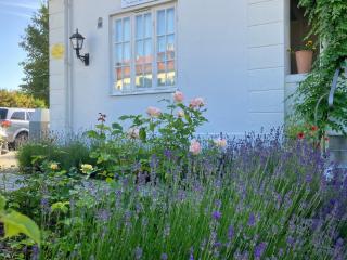 B&B Österlens RosenTrädgård - - 6