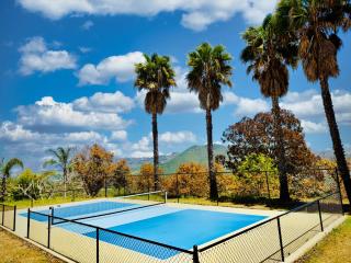 Fallbrook Hilltop Sanctuary - Pool & Pickleball - 8