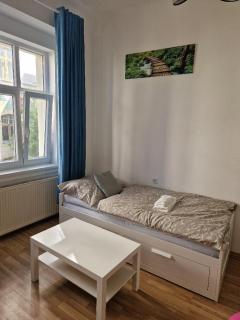 Apartman Sam - Karlovy Vary - 4