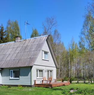 Metsanõmme puhkekodu - - 8
