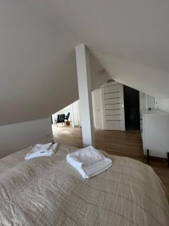 Girios Horizontas - Mara - 6