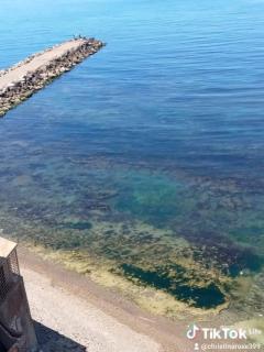 Ets Bouchama - Douaouda-Les Bains - 8