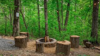 Peaceful Hideaway Treehouse near Little River Canyon - Fort Payne - 8