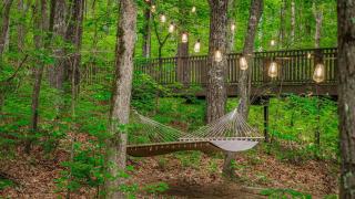Peaceful Hideaway Treehouse near Little River Canyon - Fort Payne - 6