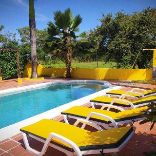 Villa del Sol Apartments - Los Destiladeros - 9