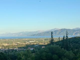 Dafni's Nest - - 1