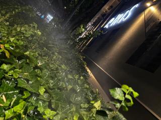 iris hotel - - 2