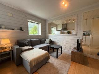 Cosy apartment with free parking - Bergen - 8