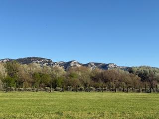 Terres Élaïs - Robion en Luberon - 4