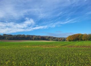 B&B Ut Zuuje - Valkenburg - 7