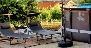 Apartma Martin - Miklavž pri Ormožu - 7