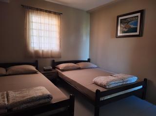 Apartmani Petrovic - - 0