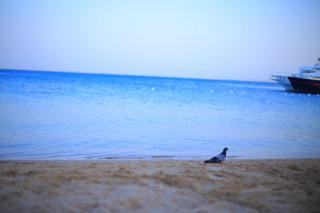 Makramia 2 bedroom apartment - Hurghada - 8