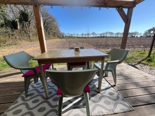 Tiny forest lodge with direct access to forest and nature - Anloo - 8