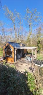 Tiny forest lodge with direct access to forest and nature - Anloo - 6