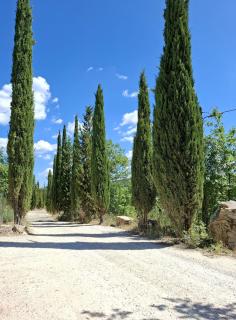 Borgo Livernano - Radda in Chianti - 5