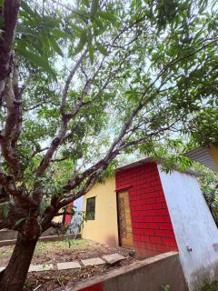 Dandeli Jungle Villa Resort - 2