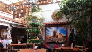 Excellent and nice apartment in CDMX - superhost - Città del Messico - 4