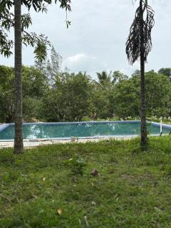 Dandeli Jungle Villa Resort - Dandeli - 9