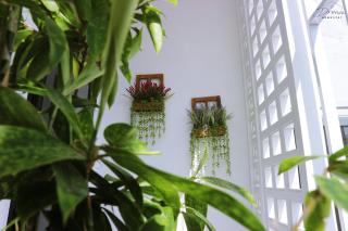 Homestay Dream - Phước Hậu - 5