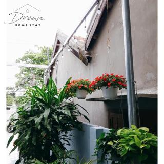 Homestay Dream - Phước Hậu - 8