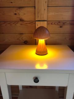 The mushroom - Passais-la-Conception - 8