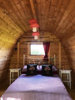 The mushroom - Passais-la-Conception - 4